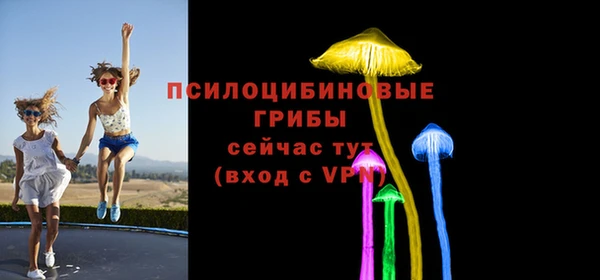 марки lsd Гусев